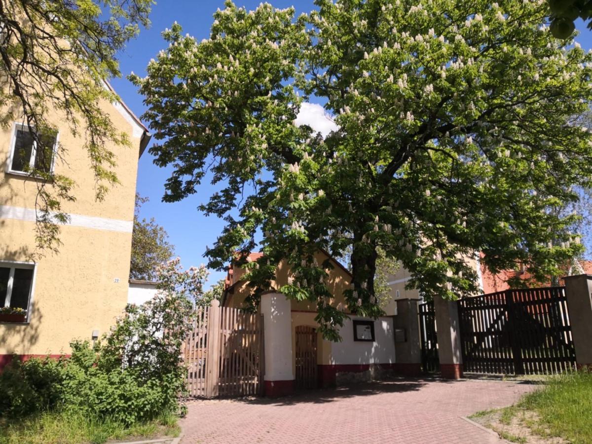 Gaestehaus Liemehna Jesewitz Екстер'єр фото
